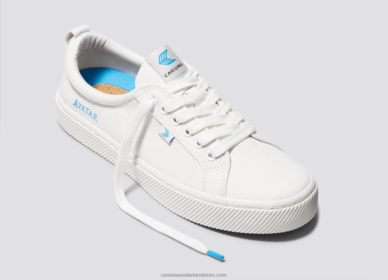 Cariuma avatar gebroken wit canvas PN60D41Heren
