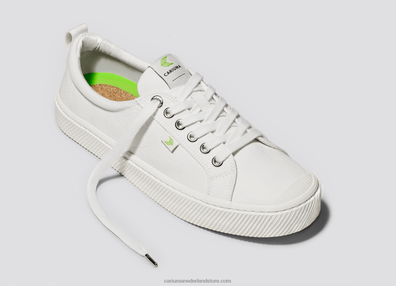 Cariuma gebroken wit canvas PN60D1Heren