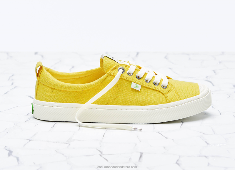 Cariuma geel canvas PN60D21Heren