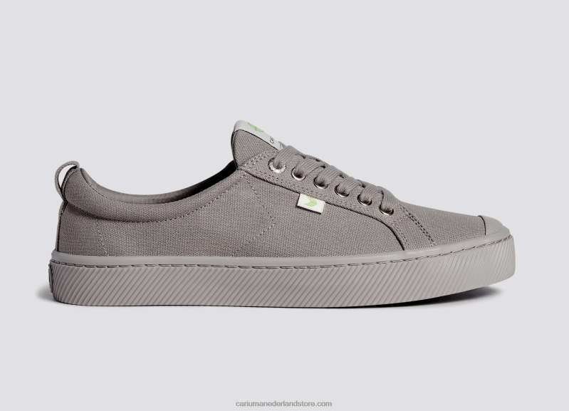 Cariuma geheel grijs canvas PN60D33Heren
