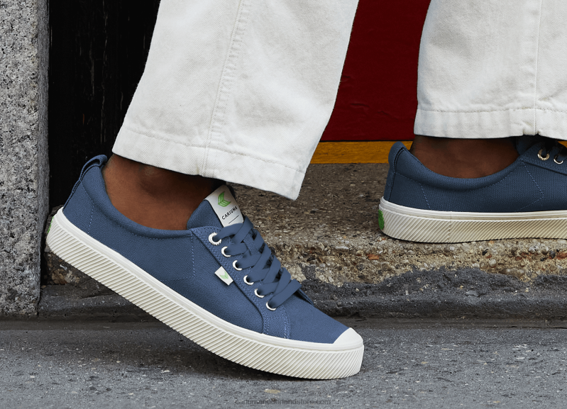 Cariuma grijs canvas PN60D2Heren