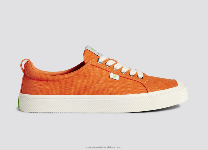 Cariuma mandarijn canvas PN60D23Heren