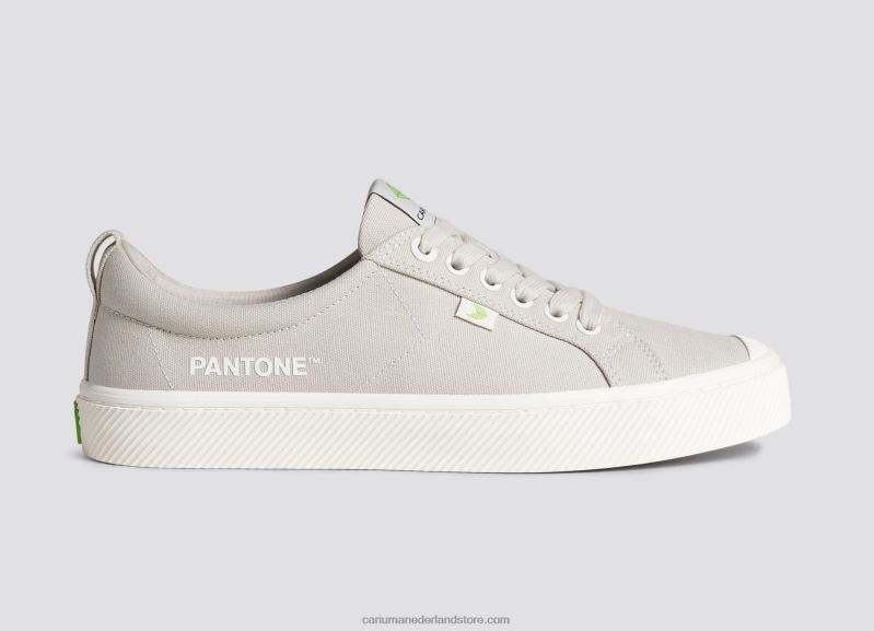 Cariuma pantone frans eiken canvas PN60D17Heren