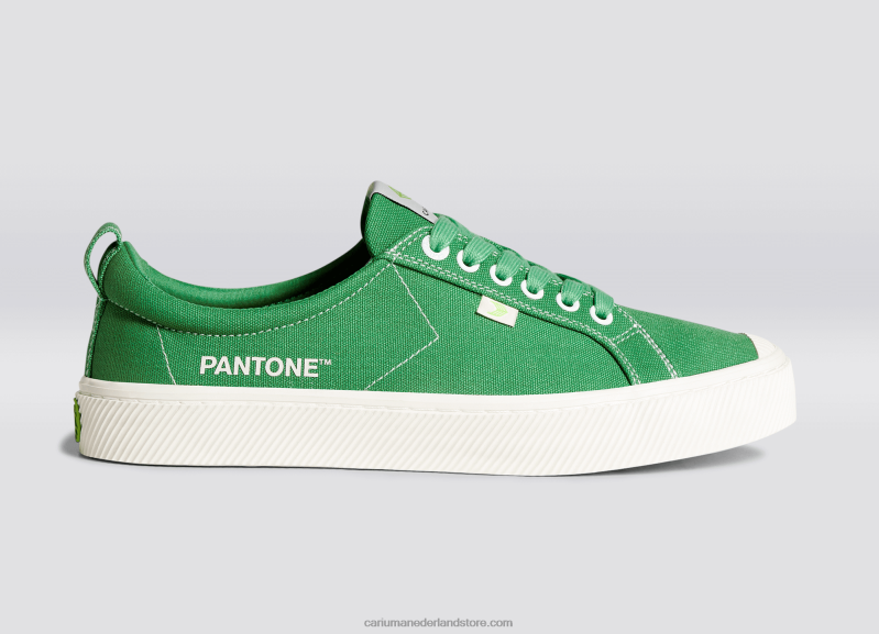 Cariuma pantone greenbriar-canvas PN60D20Heren