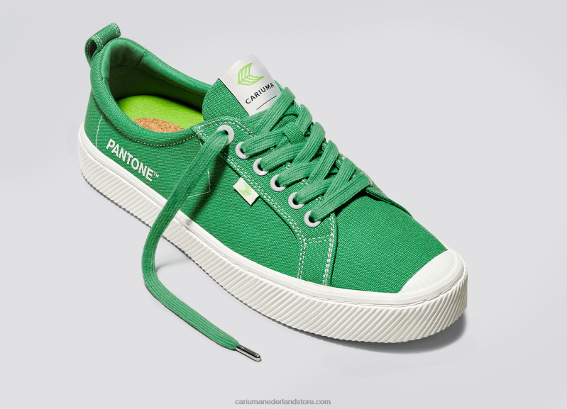 Cariuma pantone greenbriar-canvas PN60D20Heren