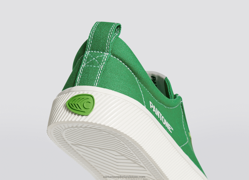 Cariuma pantone greenbriar-canvas PN60D20Heren