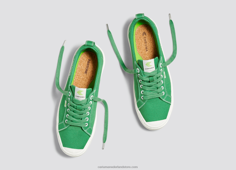 Cariuma pantone greenbriar-canvas PN60D20Heren