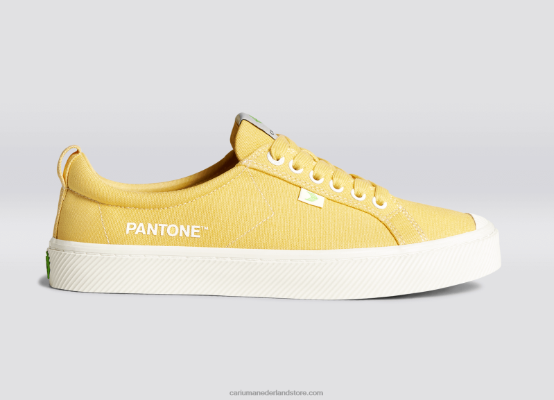 Cariuma pantone maïszijde canvas PN60D49Heren