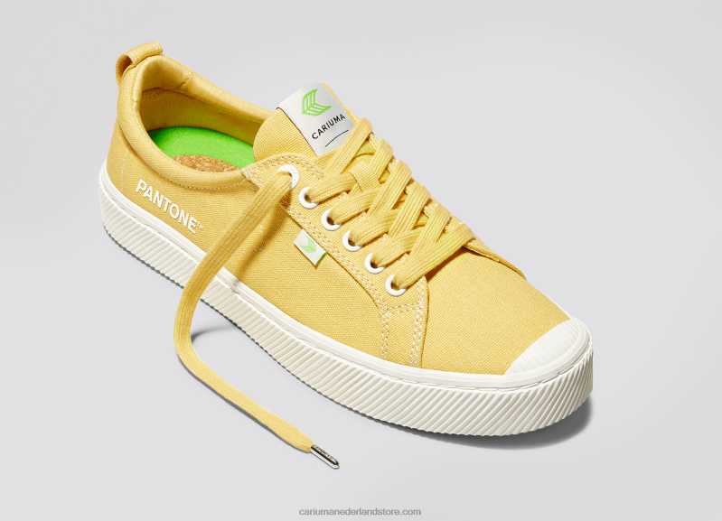 Cariuma pantone maïszijde canvas PN60D49Heren