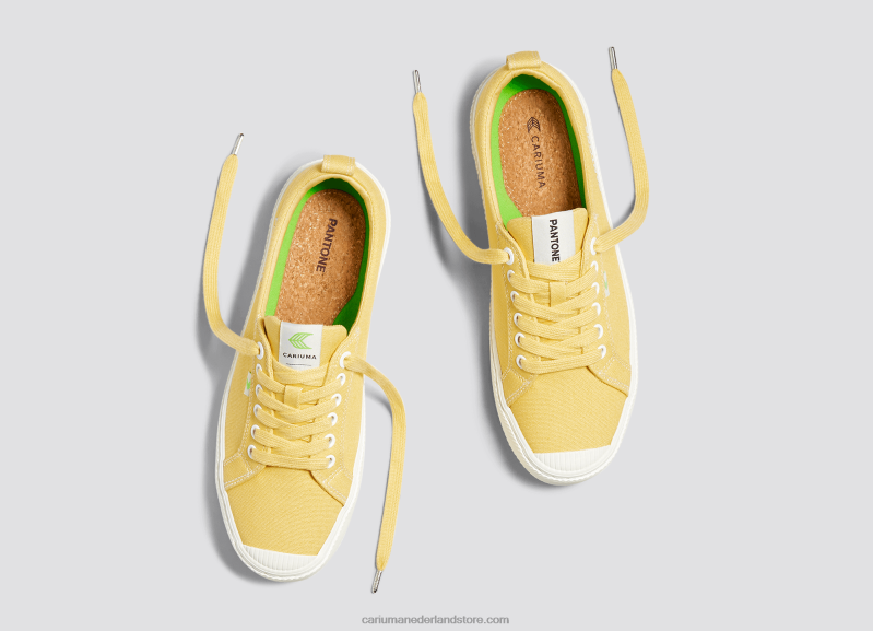 Cariuma pantone maïszijde canvas PN60D49Heren