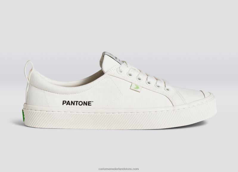 Cariuma pantone sneeuwwit canvas PN60D16Heren