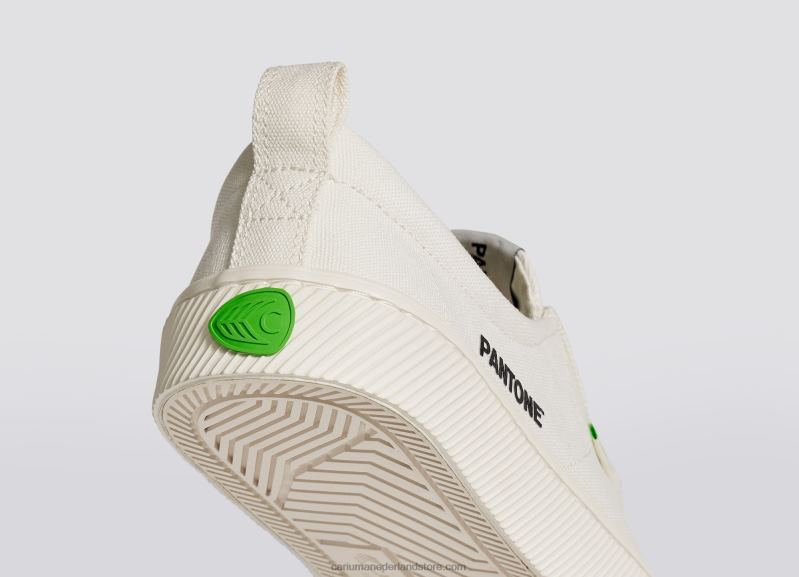 Cariuma pantone sneeuwwit canvas PN60D16Heren