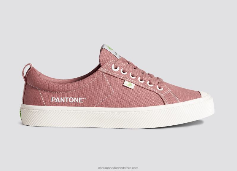 Cariuma pantone verwelkt rozendoek PN60D18Heren