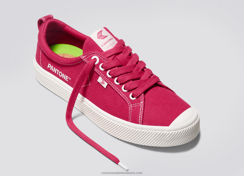 Cariuma pantone viva magenta/gebroken wit canvas PN60D38Heren