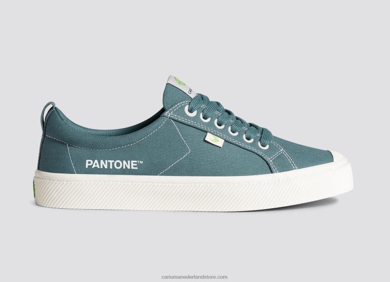 Cariuma pantone wandtapijten PN60D19Heren