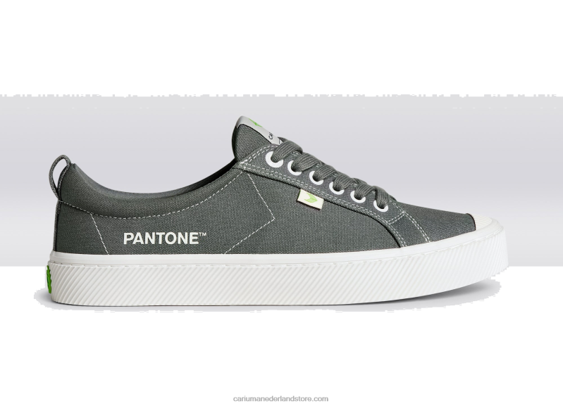 Cariuma pantone waterspuwer grijs canvas PN60D40Heren