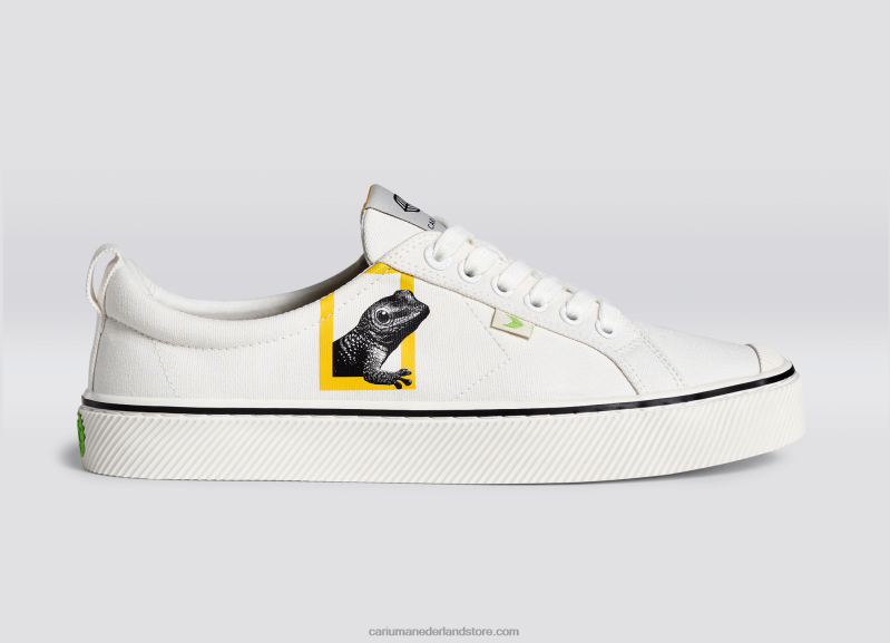 Cariuma gebroken wit canvas van national geographic gekko PN60D302vrouwen