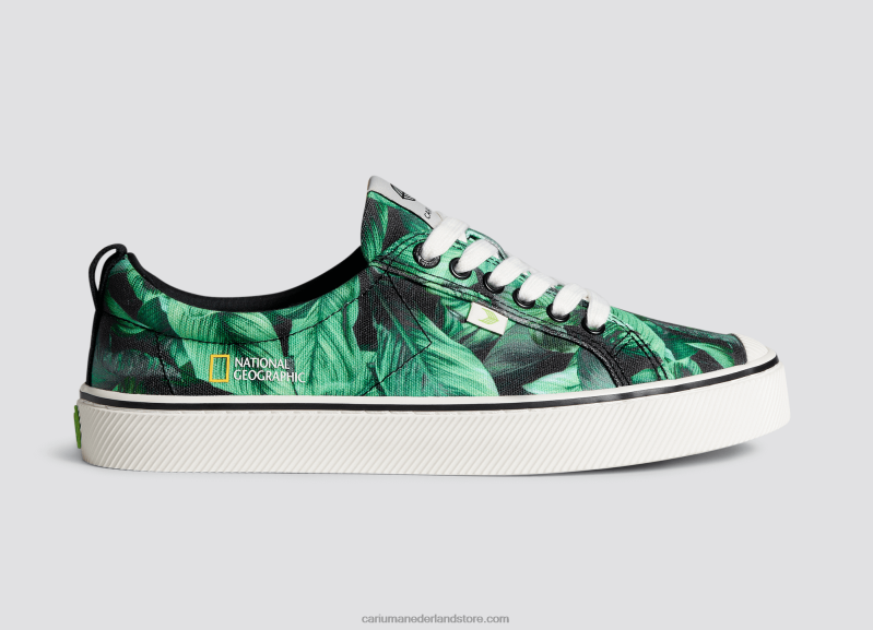 Cariuma national geographic vredeslelie groen canvas PN60D245vrouwen