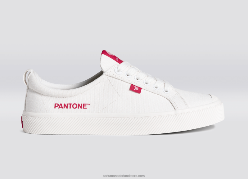 Cariuma pantone gebroken wit/viva magenta canvas PN60D252vrouwen