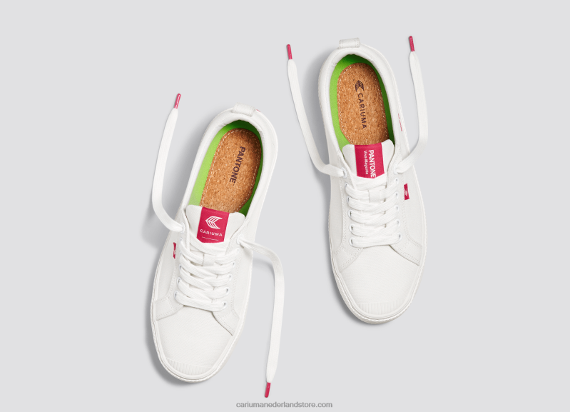 Cariuma pantone gebroken wit/viva magenta canvas PN60D252vrouwen