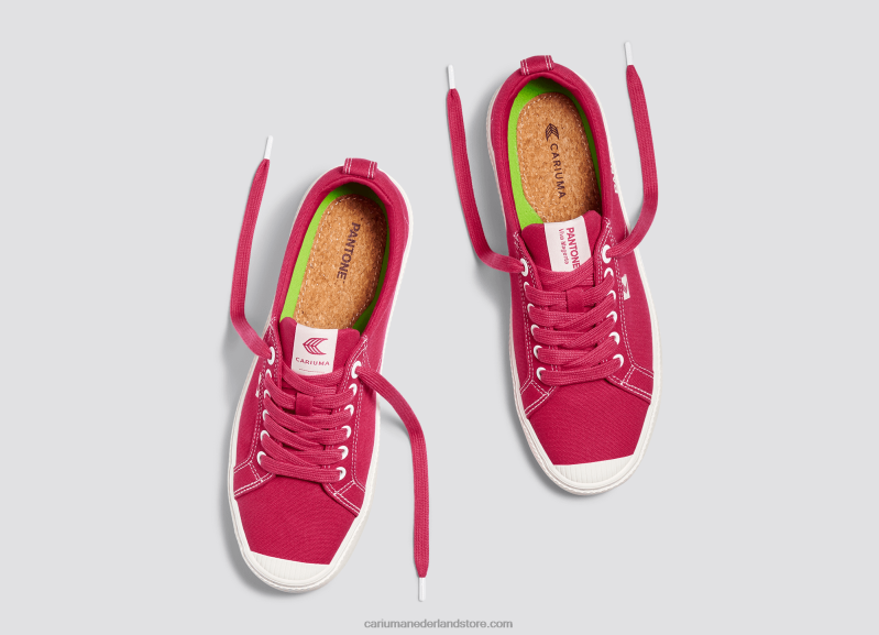 Cariuma pantone viva magenta/gebroken wit canvas PN60D251vrouwen