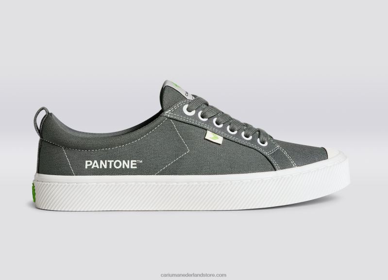 Cariuma pantone waterspuwer grijs canvas PN60D253vrouwen